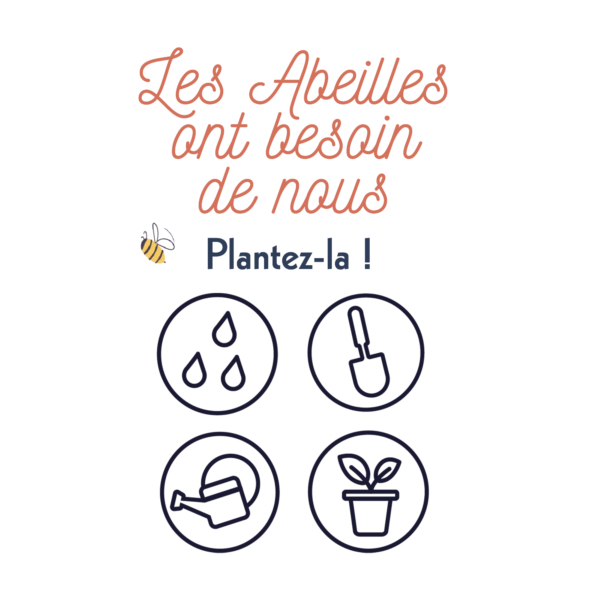 Carte à planter - Abeilles - Image 3