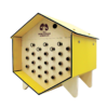 Dorlotoir-mimosa-abeilles