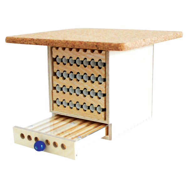 dorlotoir-cabane