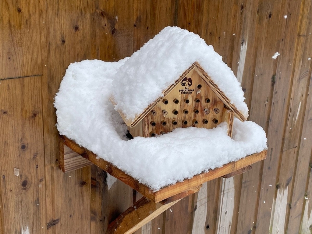 Dorlotoir abeilles sauvages avec de la neige