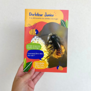 revue-dorloteur-junior