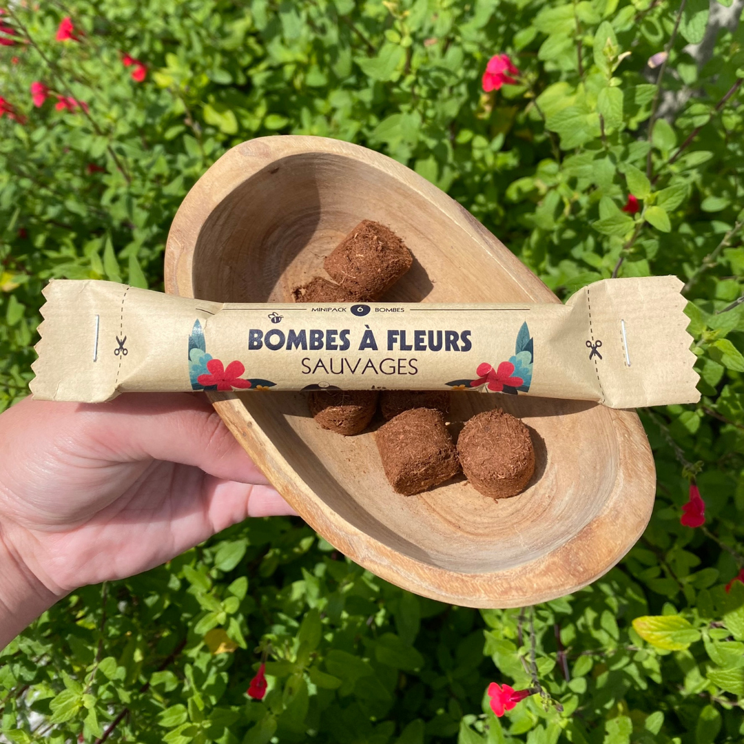 Boîte à bombes à graines d'herbes en vente B2B pour votre magasin