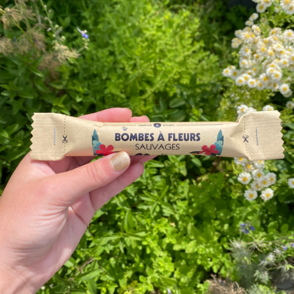 bombe-a-graines