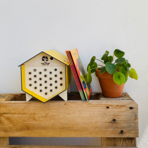 kit pédagogique abeilles et biodiversité