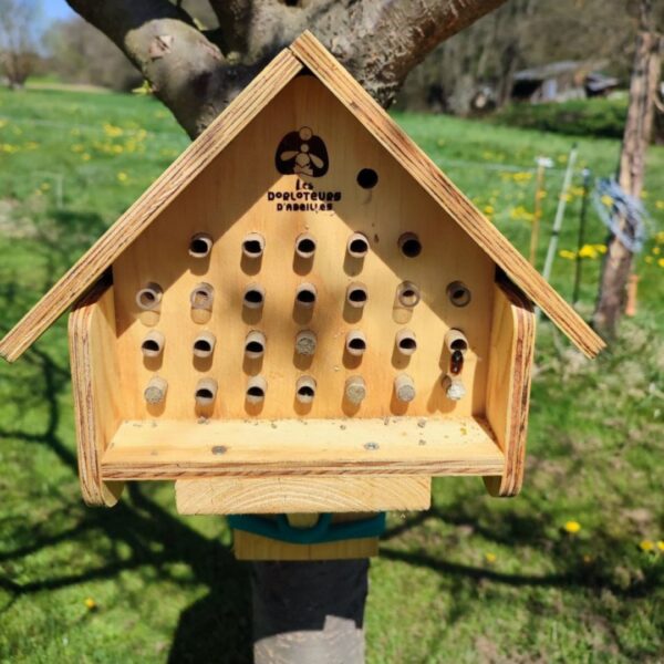 ruche pour abeilles sauvages