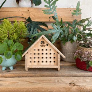 ruche pour abeilles sauvages