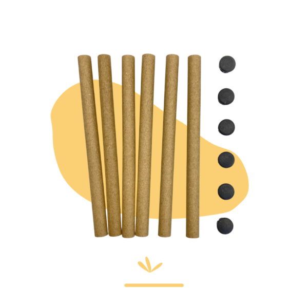 Tubes pour abeilles maçonnes + mise à l'abri hivernale des cocons