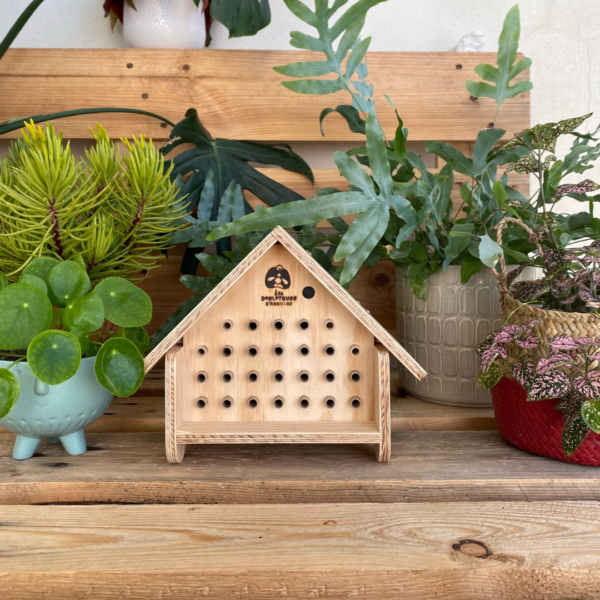 Pack Dorlotoir Chalet + cocons d'abeilles + graines de fleurs - Image 2