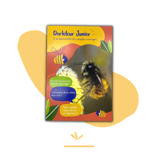 Revue pédagogique - Dorloteur Junior