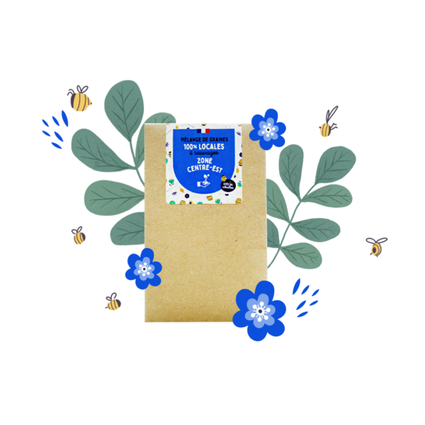 Graines de fleurs sauvages de votre région | Nourrissez les abeilles ! - Image 12