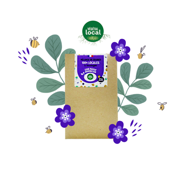 Graines de fleurs sauvages de votre région | Nourrissez les abeilles ! - Image 10
