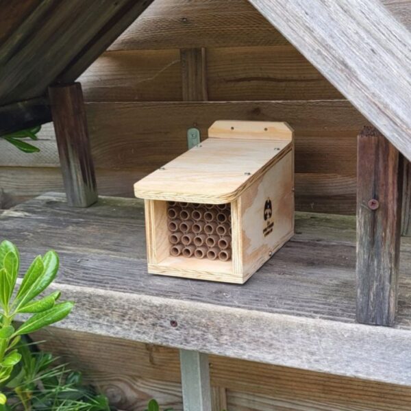 Dorlotoir Chaumière - Hôtel à abeilles solitaires avec zones d’observation transparentes - Image 6