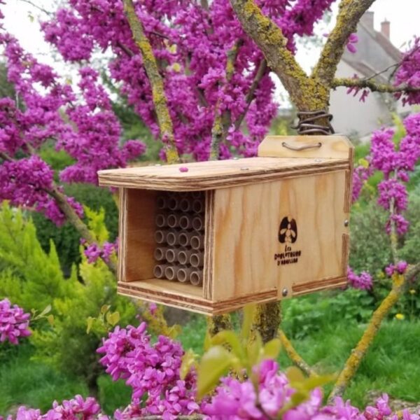 Dorlotoir Chaumière - Hôtel à abeilles solitaires avec zones d’observation transparentes - Image 5