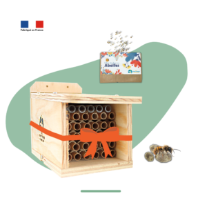 PACK CADEAUCHAUMIERE