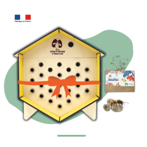 PACK CADEAU MIMOSA