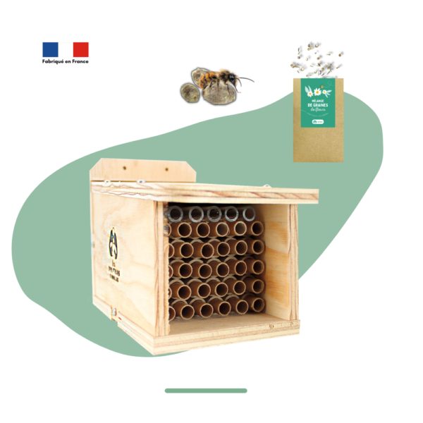 Pack Dorlotoir Chaumière + cocons d’abeilles + graines de fleurs