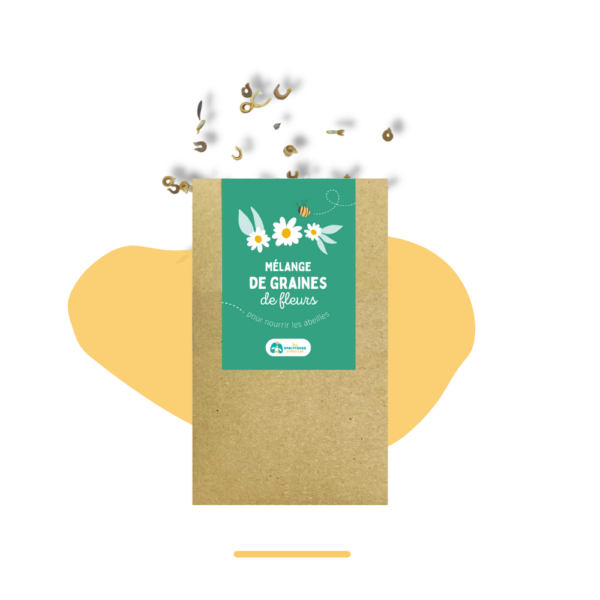 Pack Dorlotoir Chalet + cocons d'abeilles + graines de fleurs - Image 8