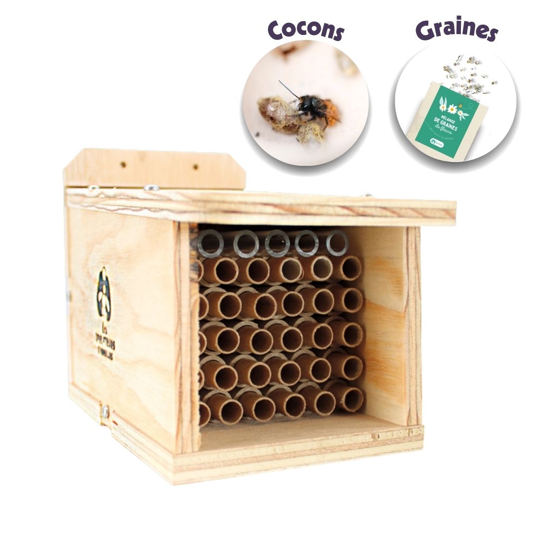Pack Dorlotoir Chaumière + cocons d’abeilles + graines de fleurs - Image 2
