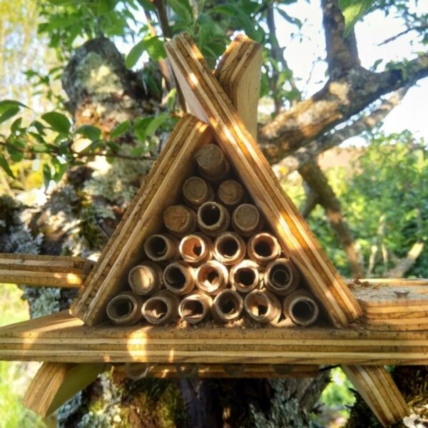 Dorlotoir Tipi Essentiel - Hôtel à abeilles solitaires avec zones d’observation transparentes - Image 6