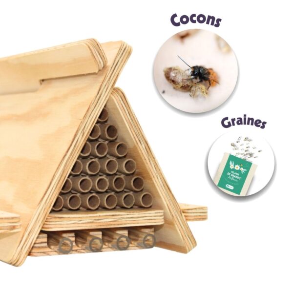 Pack Dorlotoir Tipi Essentiel + cocons d’abeilles + graines de fleurs - Image 3