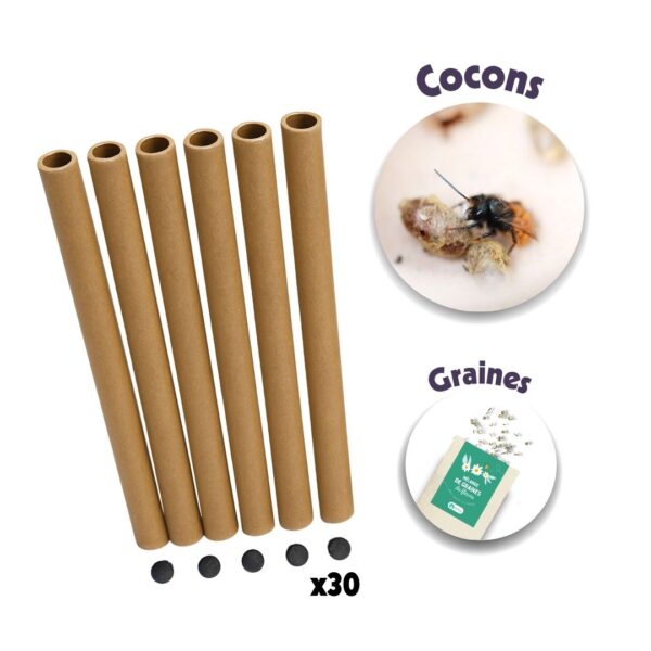 Pack début de saison | 30 tubes + cocons d’abeilles + graines de fleurs