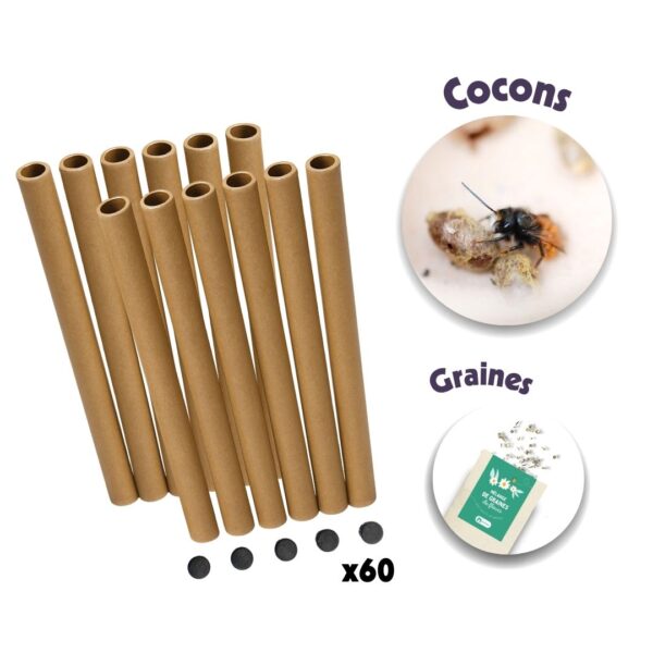 Pack début de saison | 60 tubes + cocons d’abeilles + graines de fleurs