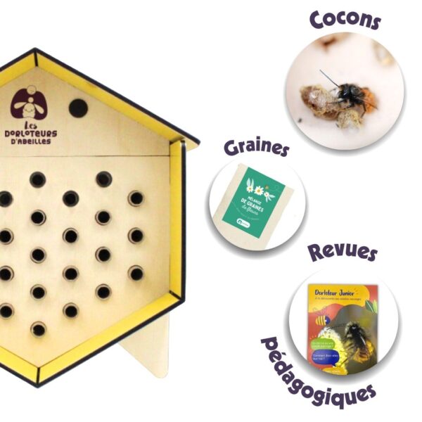 Pack Dorlotoir Mimosa + cocons d'abeilles + graines de fleurs - Image 2