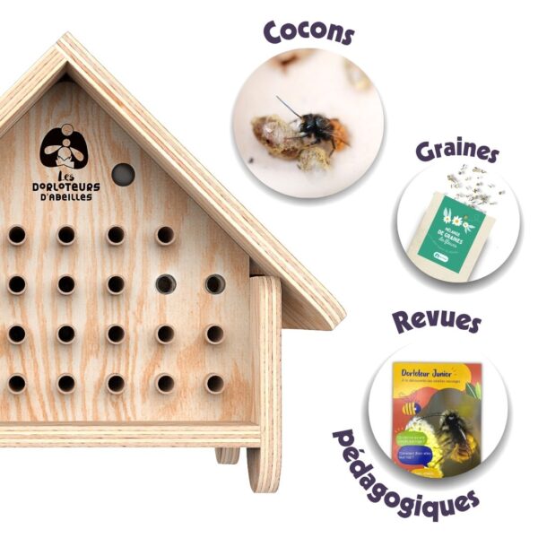 Pack Dorlotoir Chalet + cocons d'abeilles + graines de fleurs - Image 11