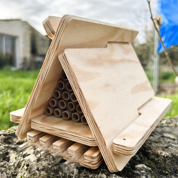 ruche abeilles sauvage dorlotoir tipi