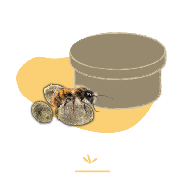 Pack Dorlotoir Tipi Essentiel + cocons d’abeilles + graines de fleurs - Image 6
