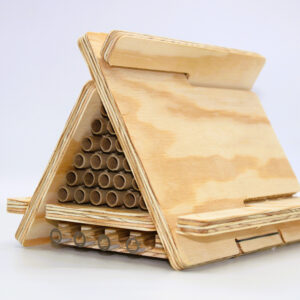 ruche abeilles sauvages maçonnes