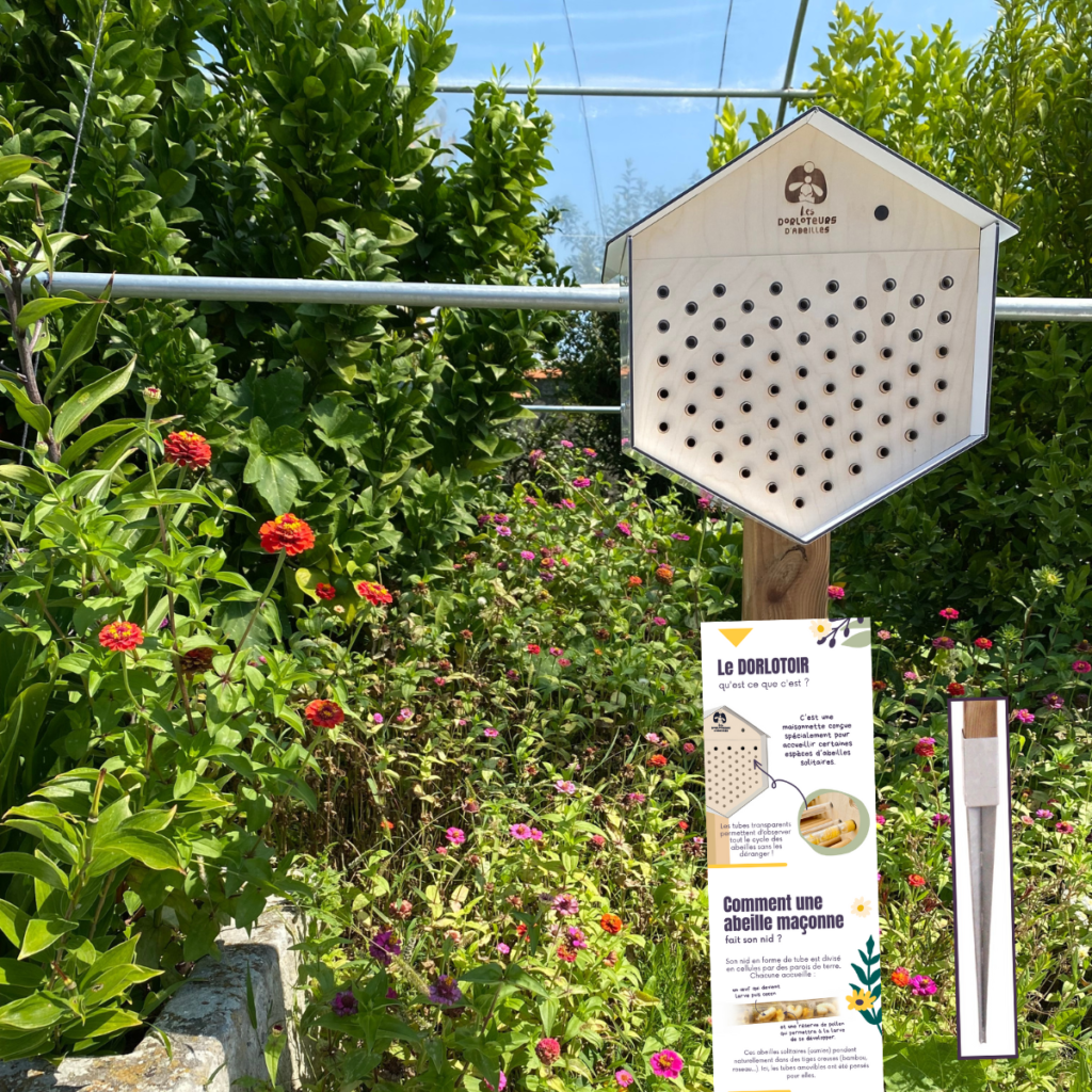 Installer un abri à abeilles sauvages - Journée de l'Abeille, 20 mai