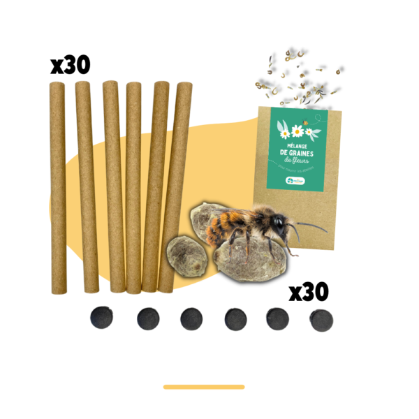 Pack début de saison | 30 tubes + cocons d’abeilles + graines de fleurs