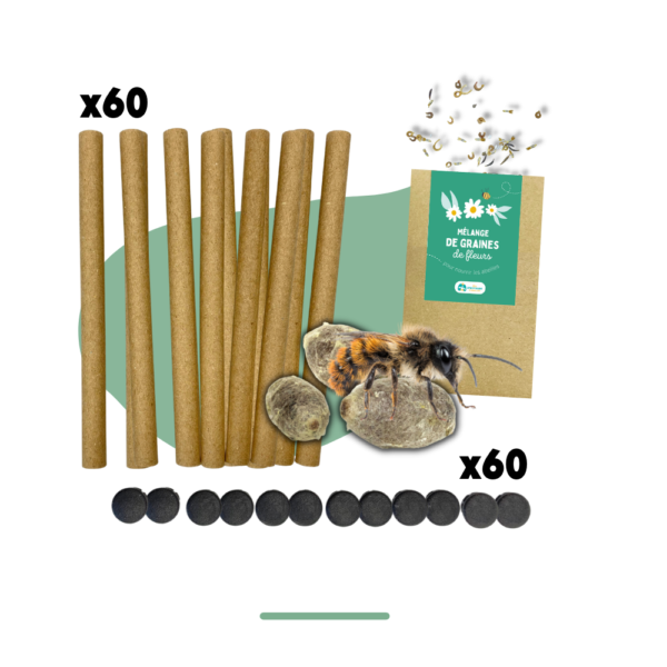 Pack début de saison | 60 tubes + cocons d’abeilles + graines de fleurs