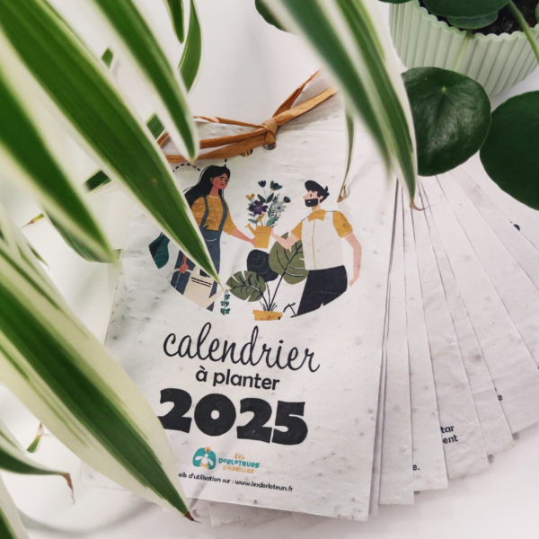 Calendrier 2025 à planter - Image 2