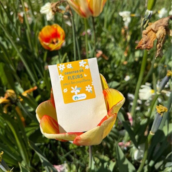 Graines de fleurs pour les papillons - Image 2