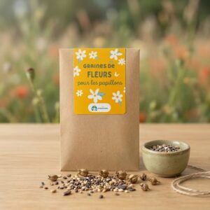graines-fleurs-papillons