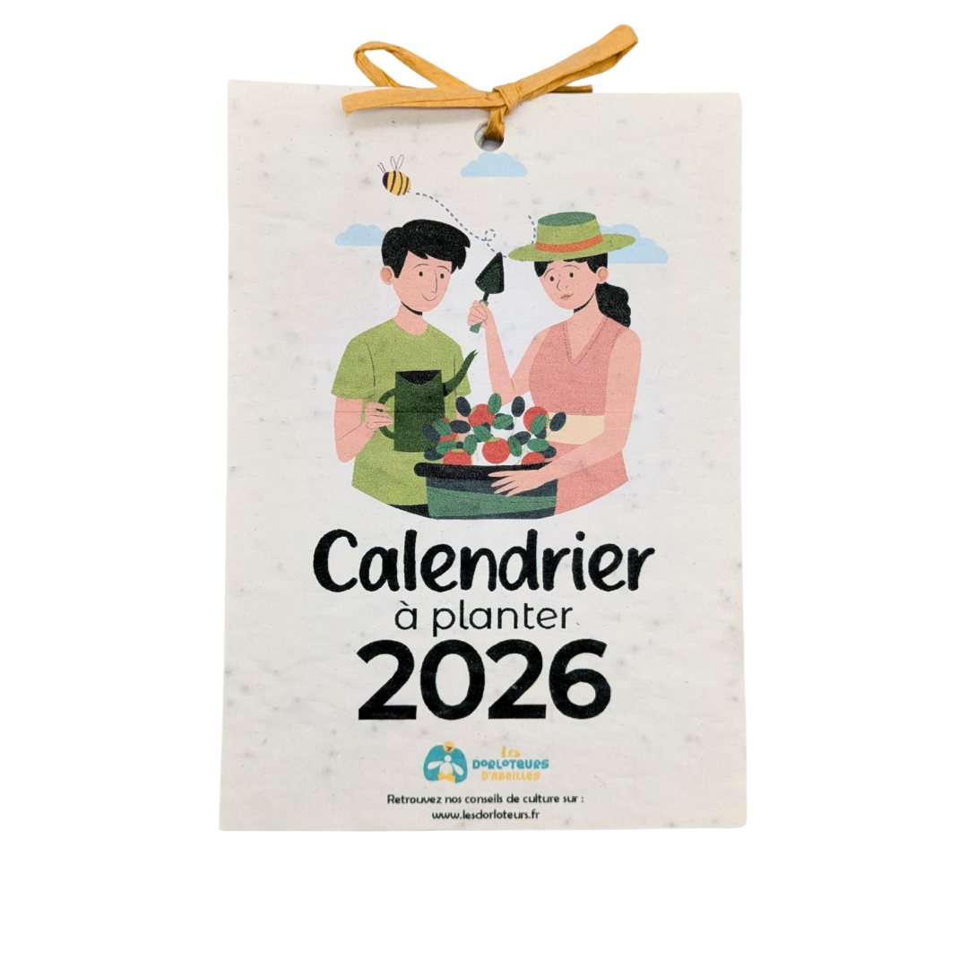 Calendrier 2026 à planter - Image 3