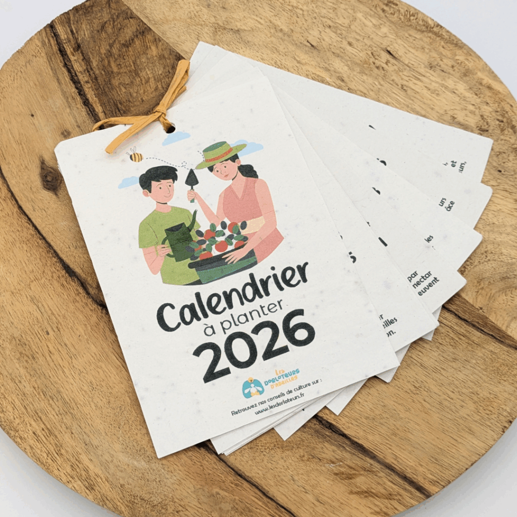 calendrier à planter 2026 Idées cadeaux de Noël nature et jardin