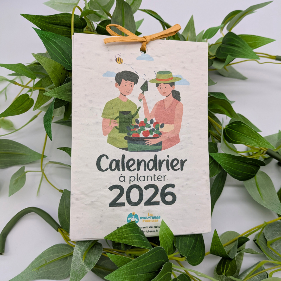 Calendrier 2026 à planter - Image 6