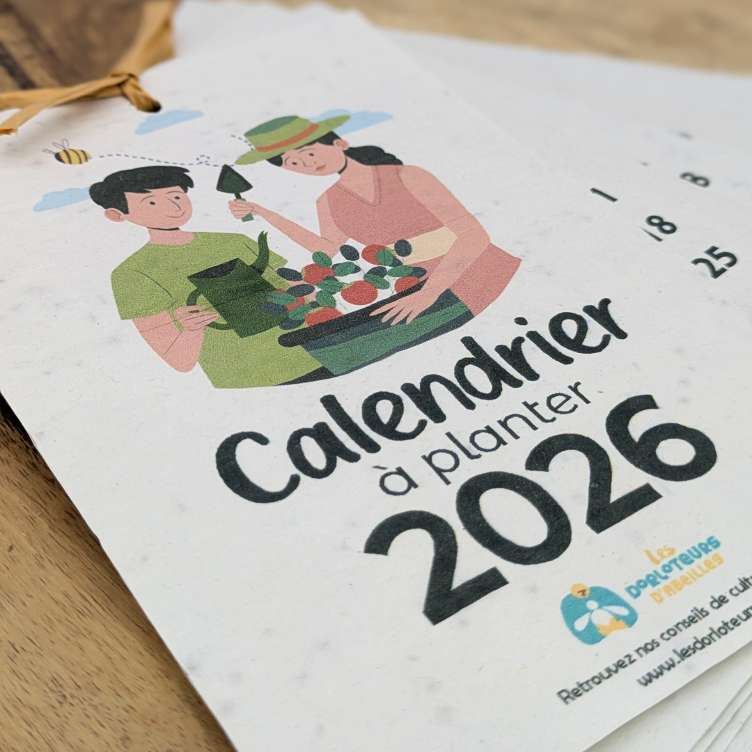 Calendrier 2026 à planter - Image 7
