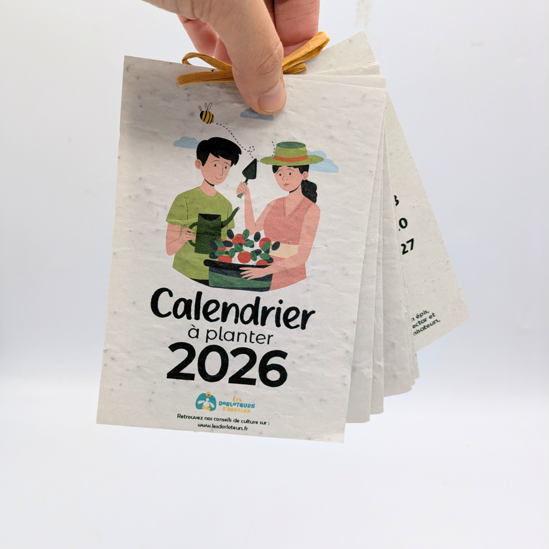 Calendrier 2026 à planter - Image 2