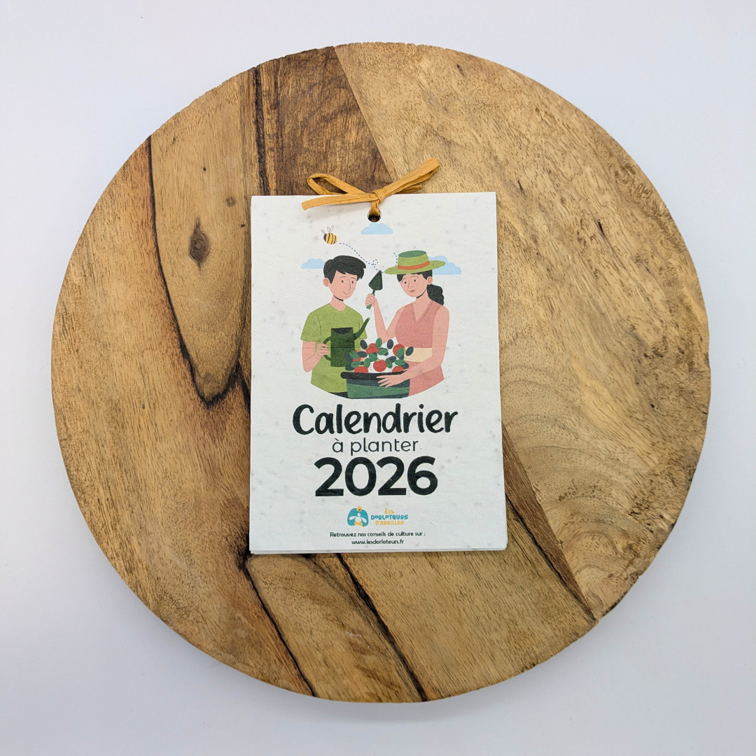 Calendrier 2026 à planter - Image 8
