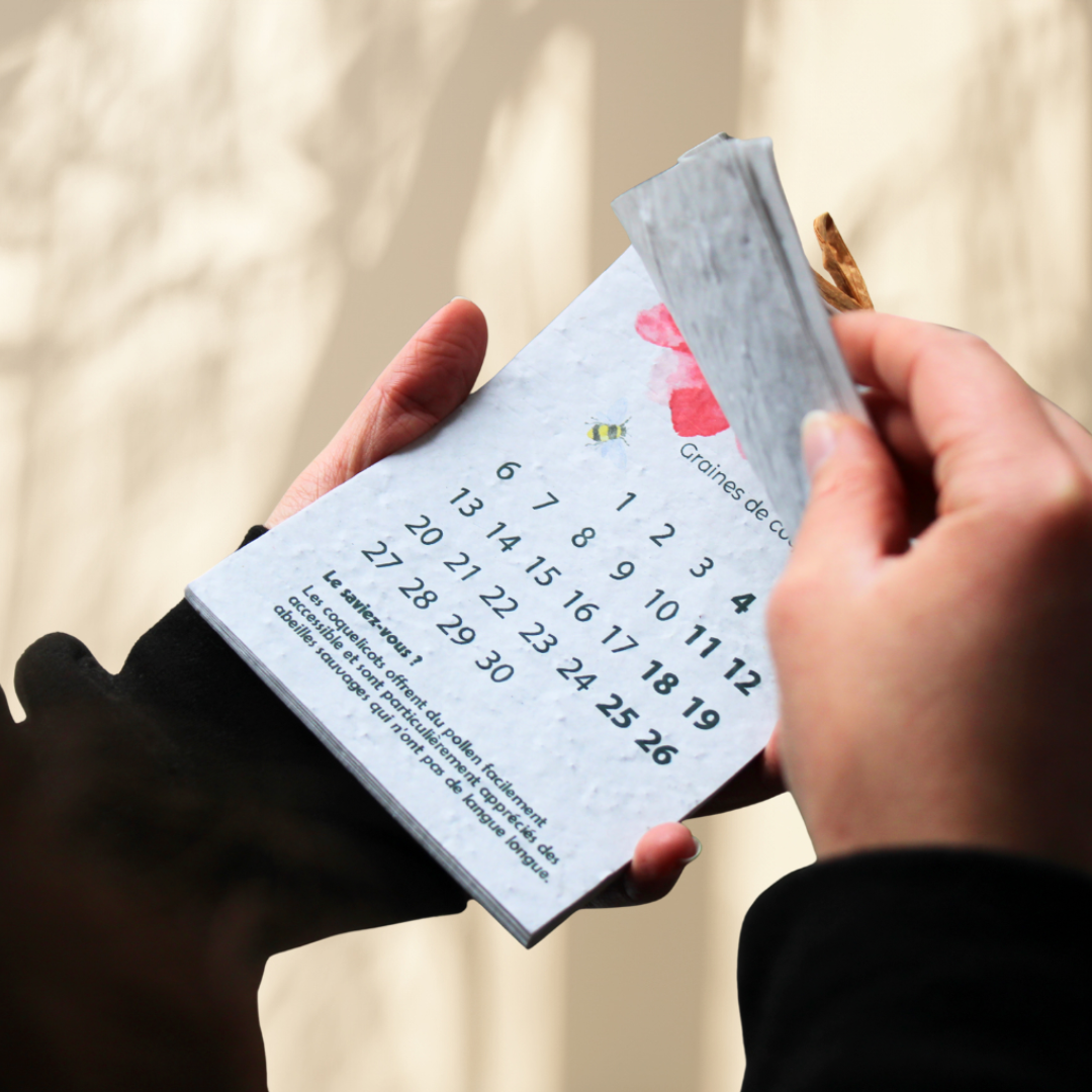 Calendrier 2026 à planter - Image 5