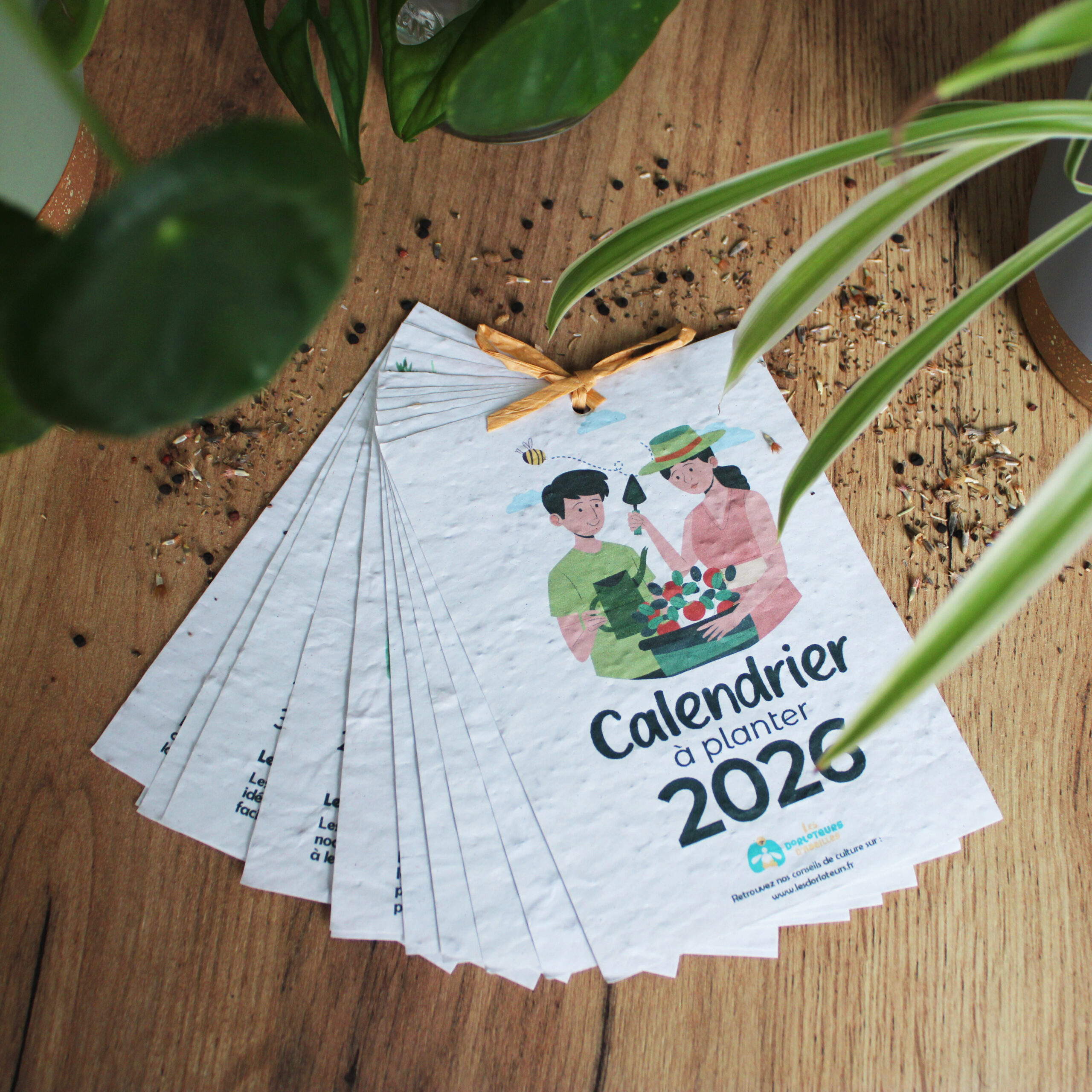 Calendrier 2026 à planter - Image 4