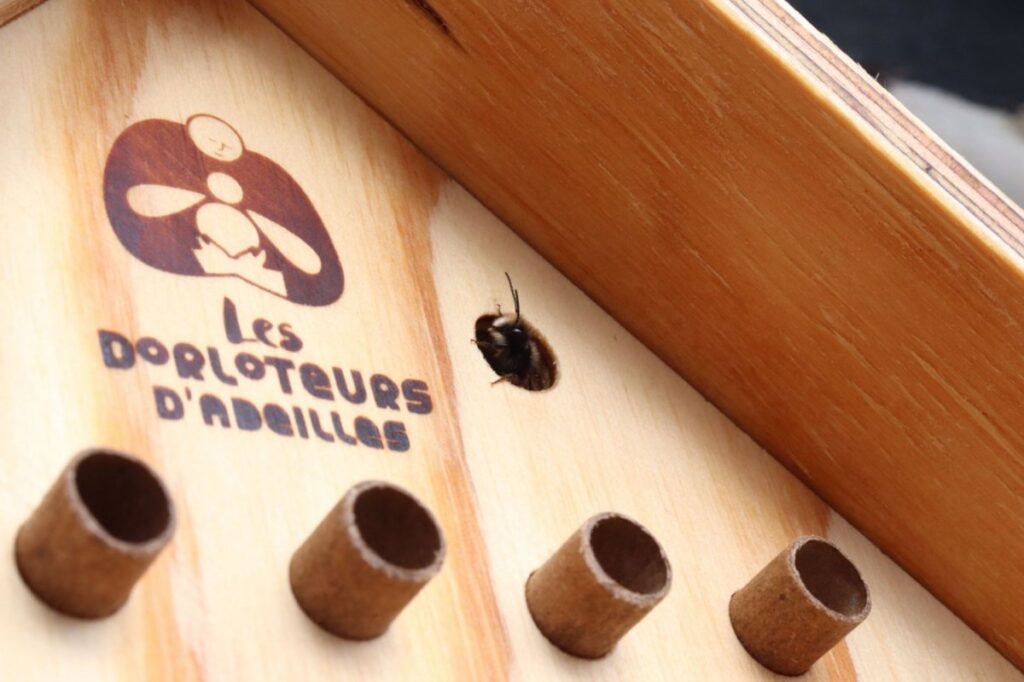 ruche pour abeilles sauvages Idées cadeaux de Noël nature et jardin