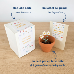 cadeau fin année scolaire maître