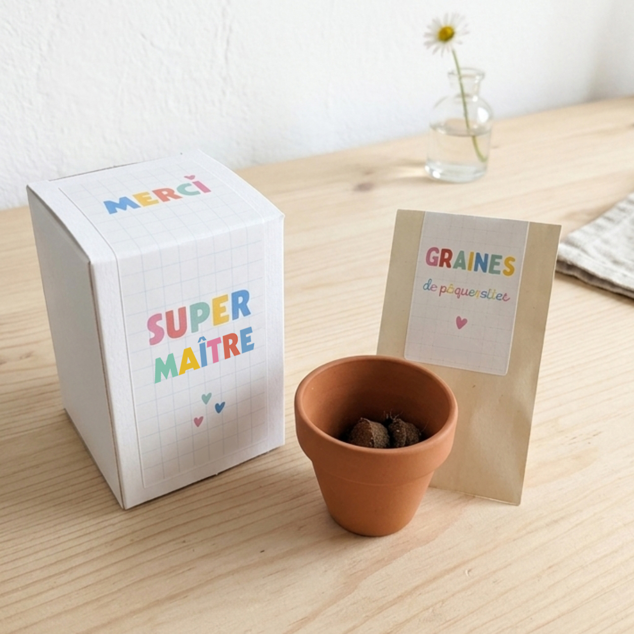 Cadeau Maître d'école - Coffret à planter "Merci Super Maître" – Image 2