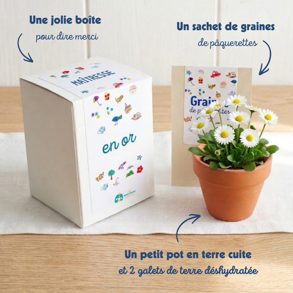 cadeau maîtresse école