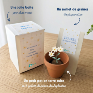 cadeau maître fin d'année scolaire